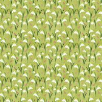 dsStella-DLW3112 FERN